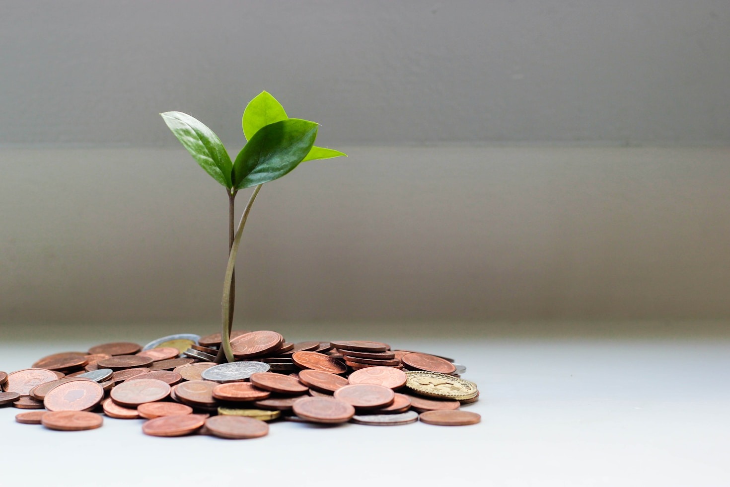 How to Maximize Value from Online Promotions
